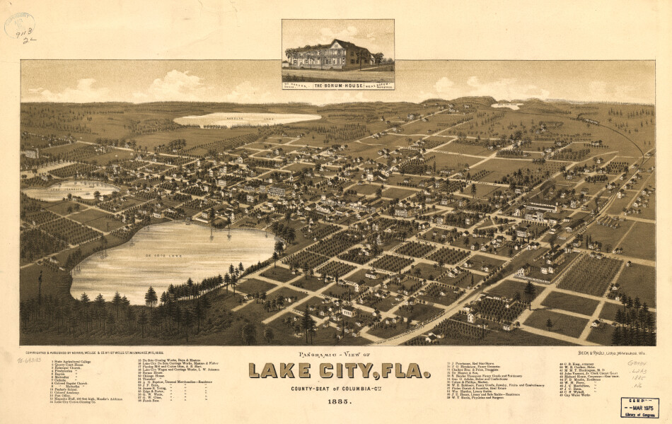 E128 - Panoramic-view of Lake City Florida county seat of Columbia City - 1885