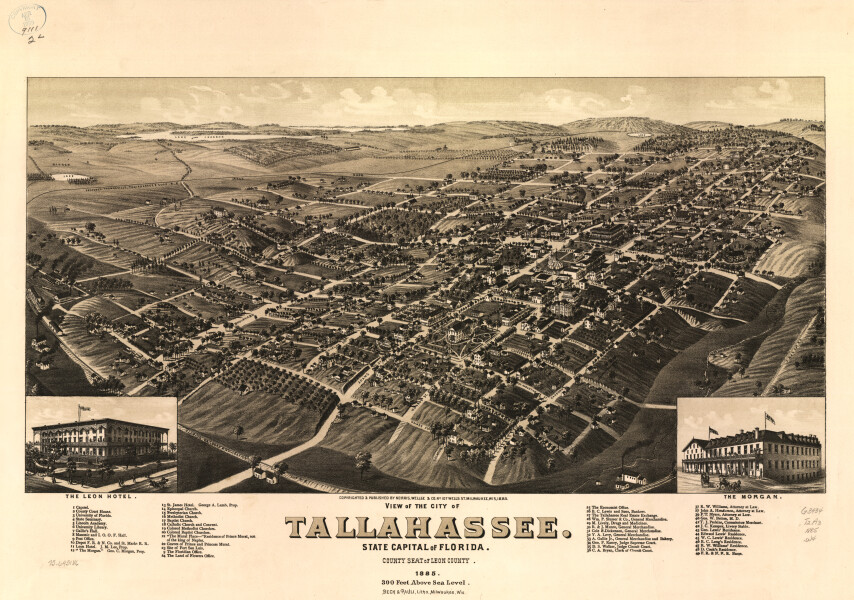 E128 - View of the city of Tallahassee State capital of Florida county seat of Leon county - 1885