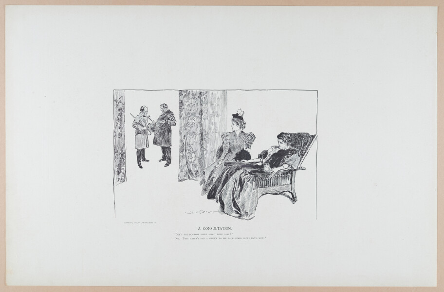 E252 - Sketches and Cartoons by Charles Dana Gibson, 1898 - 2681