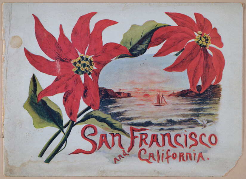 E257 - San Francisco and California - 1906 - i2916