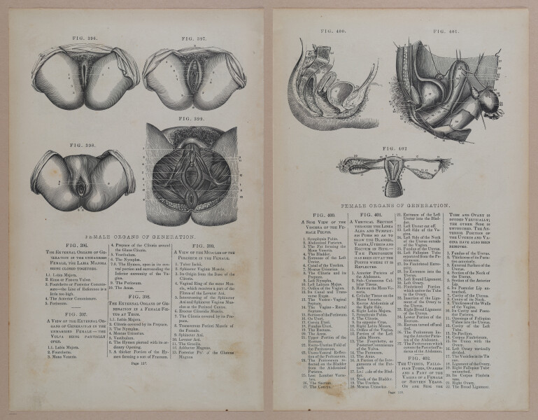 E309 - Anatomical Atlas - 8196-8197