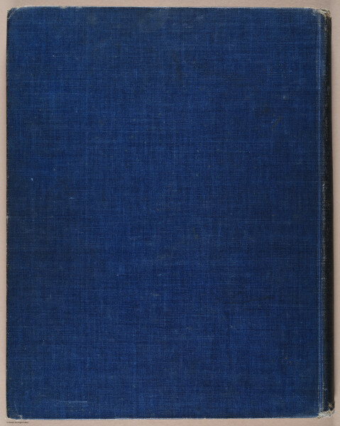 E344 - The Harrison Fisher Book 1907 - 11781