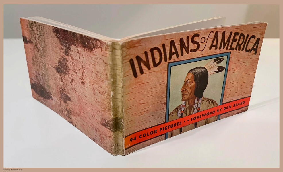 E349 - Indians of America - i0891(3)