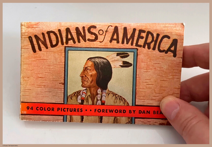 E349 - Indians of America - i0891(1)