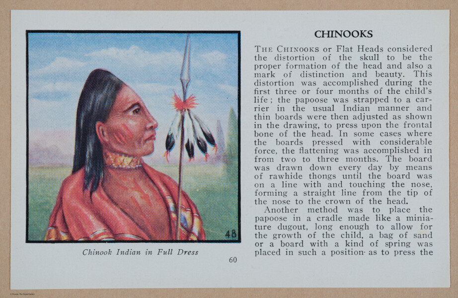 E349 - Indians of America - i13057