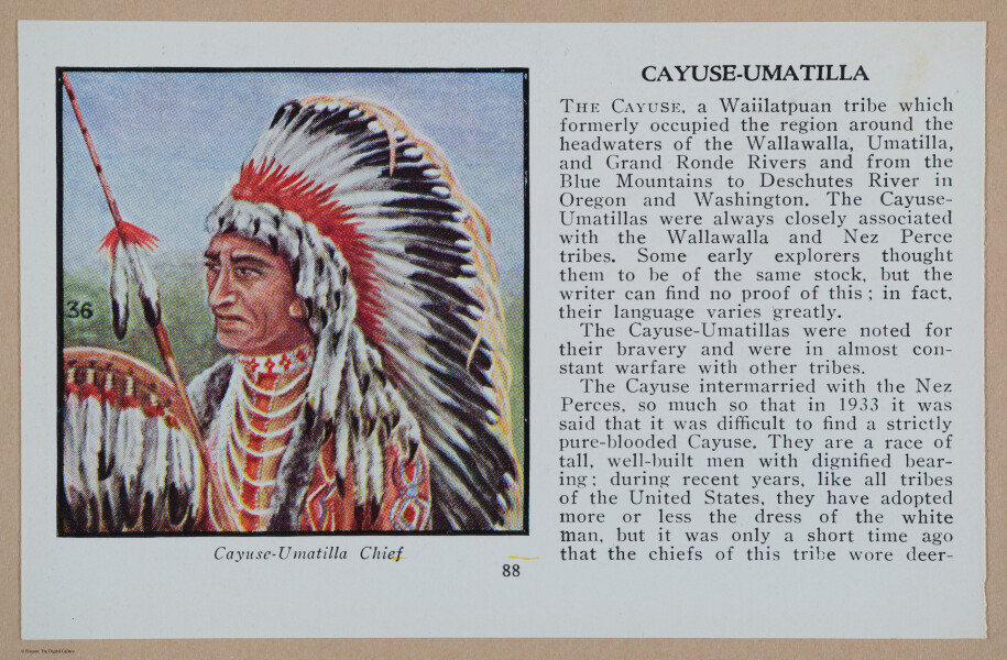 E349 - Indians of America - i13088