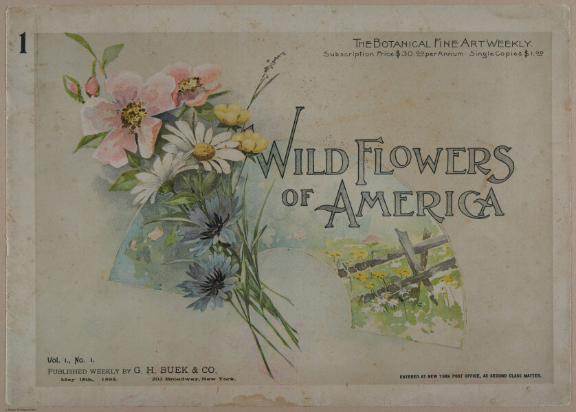 E356 - Wildflowers of America - i13579