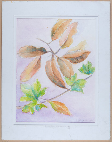 Leaves, still life, watercolor, v3