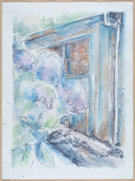 Filoli, Woodside, CA ~ Hydrangeas, plein air