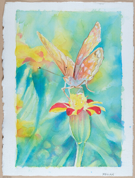 Filoli course with Guy, watercolors, non-original work.