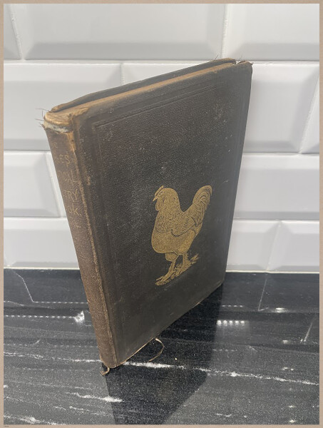 E400 - Practical Poultry Book - 1871 - 3836 (1)