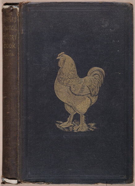 E400 - Practical Poultry Book - 1871 - 17209