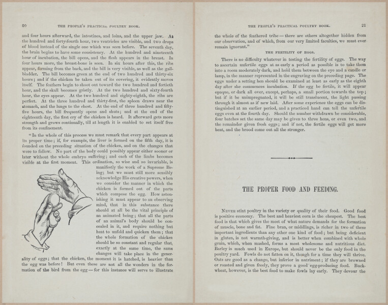 E400 - Practical Poultry Book - 1871 - 16697-16698