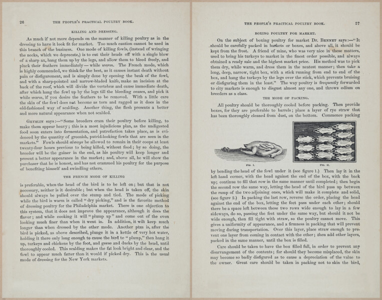 E400 - Practical Poultry Book - 1871 - 16703-16704