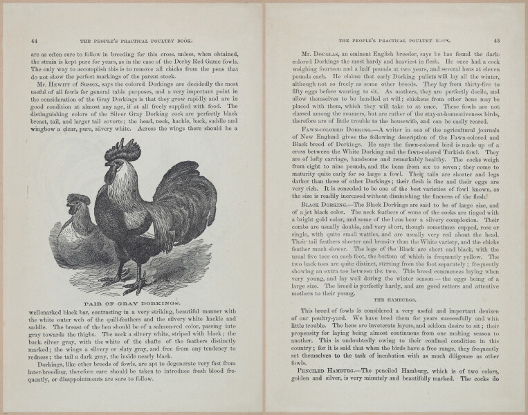 E400 - Practical Poultry Book - 1871 - 16779-16780
