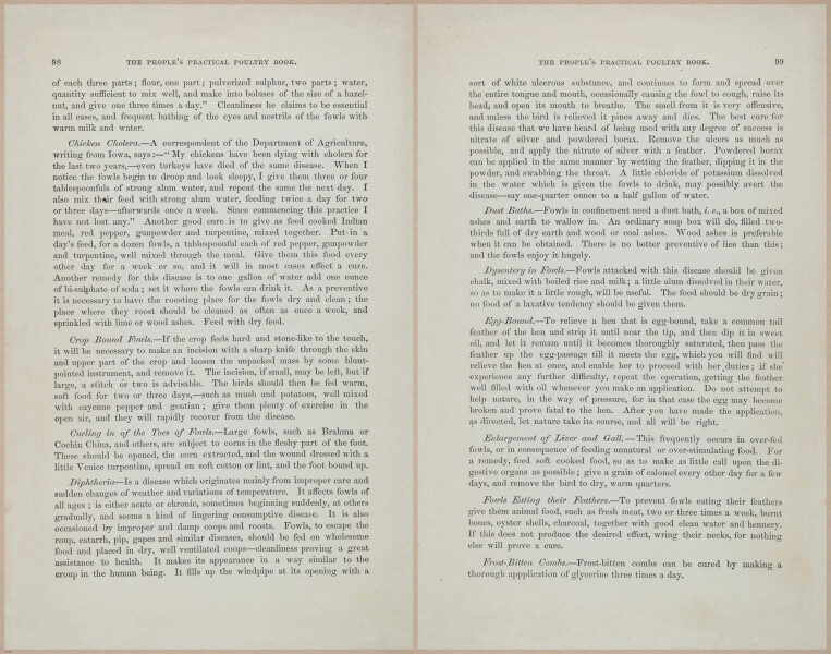 E400 - Practical Poultry Book - 1871 - 17084-17085