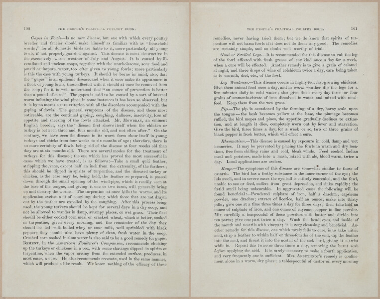 E400 - Practical Poultry Book - 1871 - 17086-17087