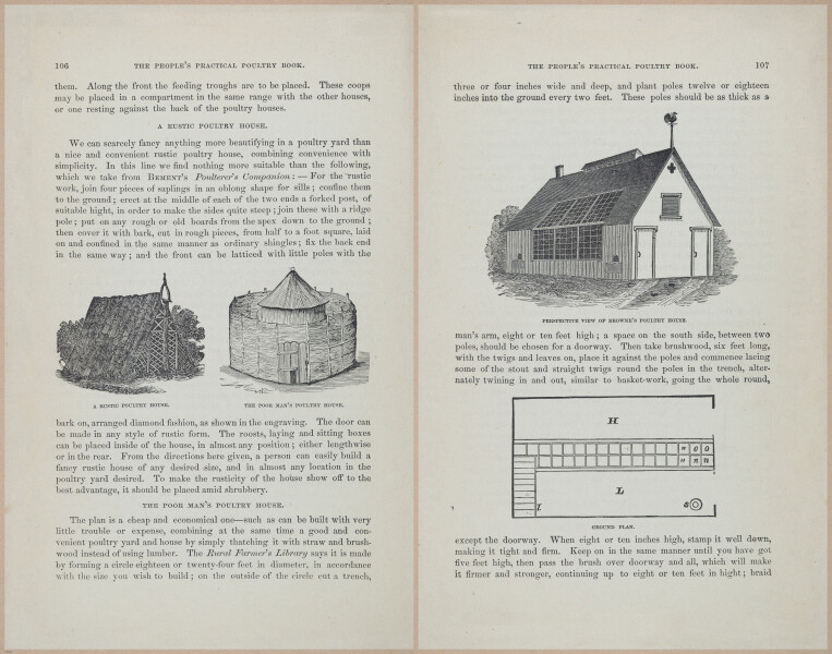 E400 - Practical Poultry Book - 1871 - 17092-17093