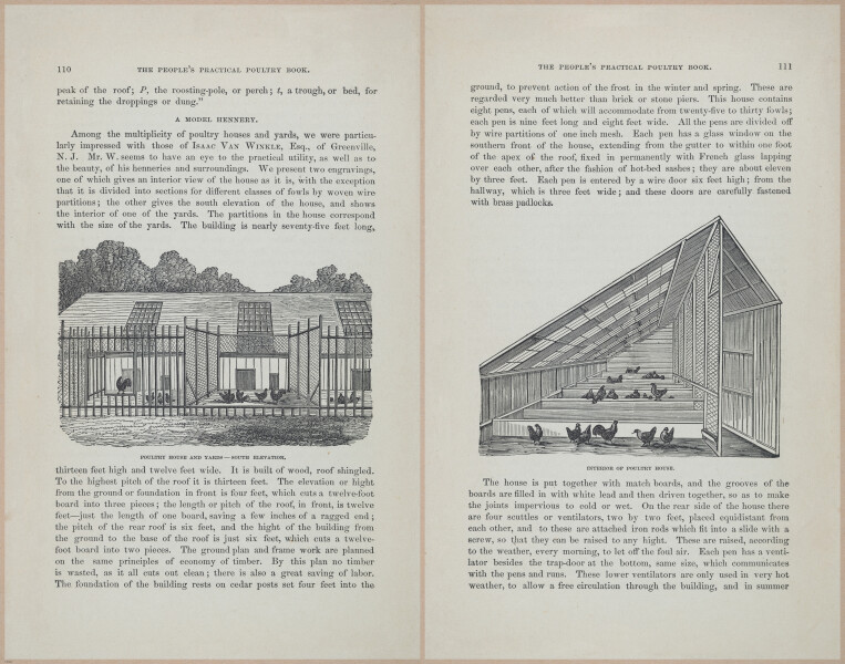 E400 - Practical Poultry Book - 1871 - 17096-17097