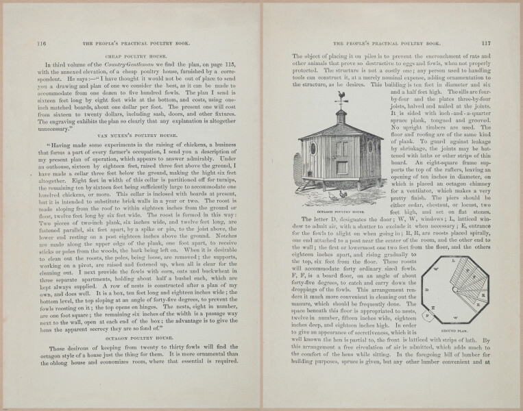 E400 - Practical Poultry Book - 1871 - 17102-17103