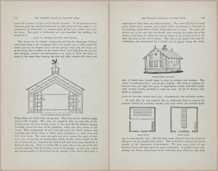 E400 - Practical Poultry Book - 1871 - 17104-17105