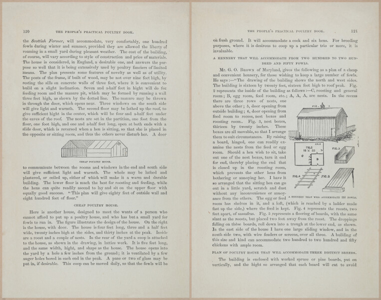 E400 - Practical Poultry Book - 1871 - 17106-17107