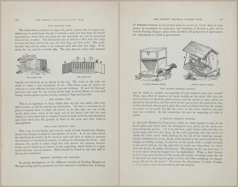 E400 - Practical Poultry Book - 1871 - 17116-17117