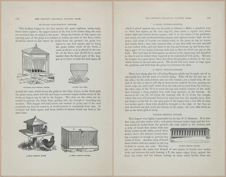 E400 - Practical Poultry Book - 1871 - 17118-17119