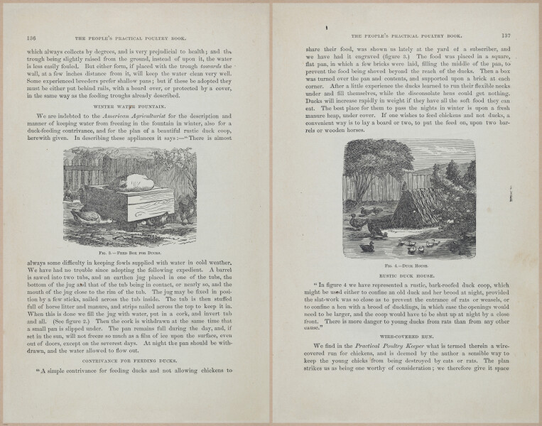 E400 - Practical Poultry Book - 1871 - 17122-17123