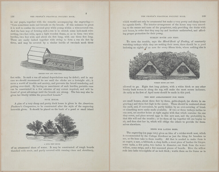 E400 - Practical Poultry Book - 1871 - 17124-17125