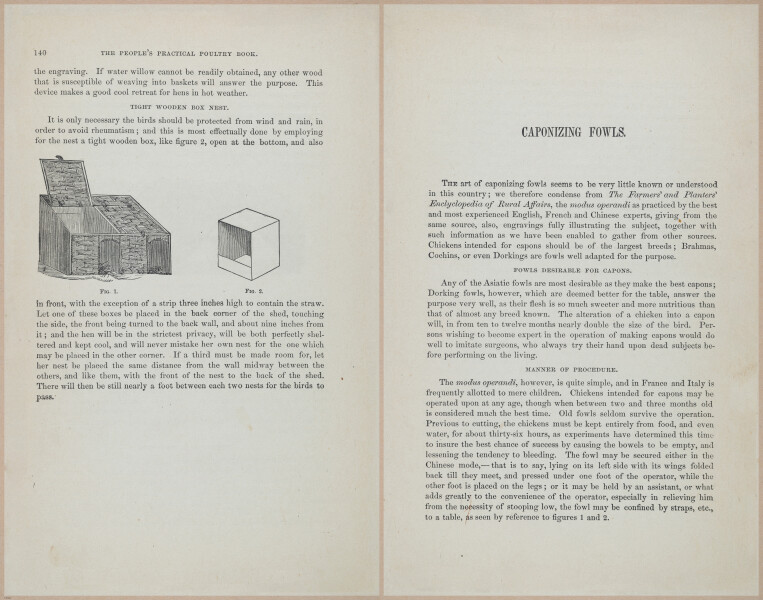 E400 - Practical Poultry Book - 1871 - 17126-17127
