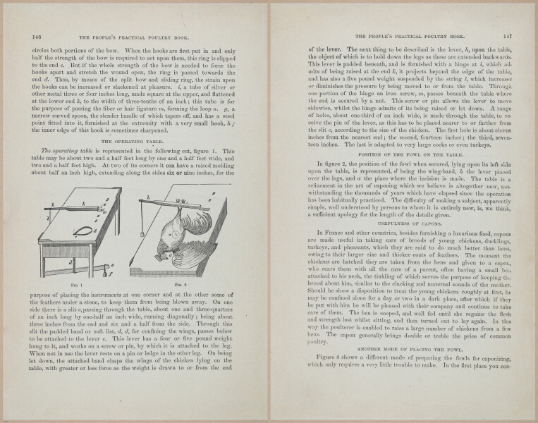 E400 - Practical Poultry Book - 1871 - 17132-17133
