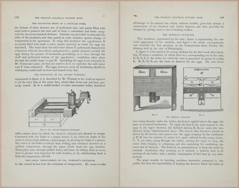 E400 - Practical Poultry Book - 1871 - 17144-17145