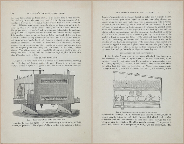 E400 - Practical Poultry Book - 1871 - 17146-17147