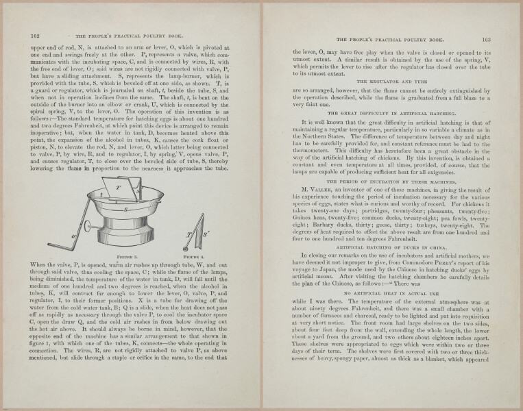 E400 - Practical Poultry Book - 1871 - 17148-17149