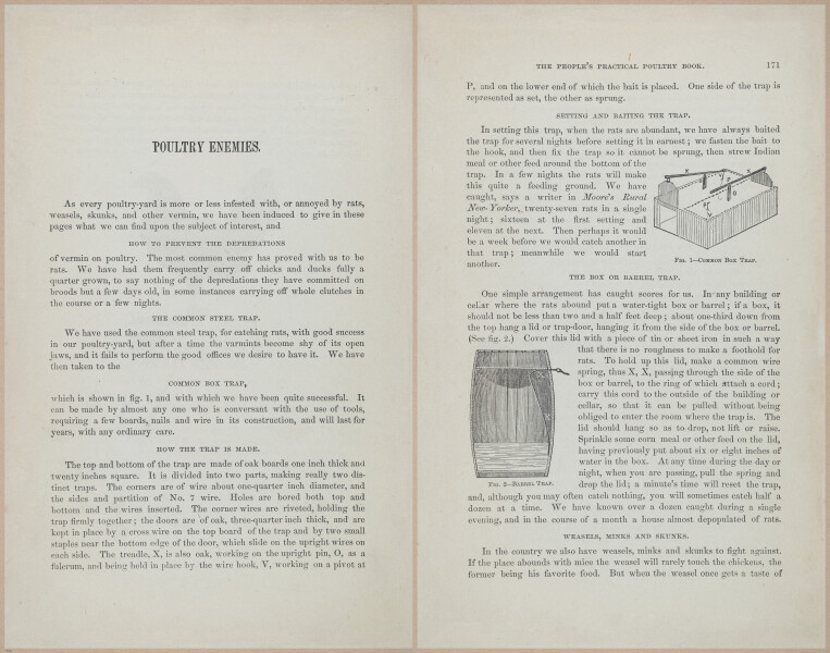 E400 - Practical Poultry Book - 1871 - 17156-17157