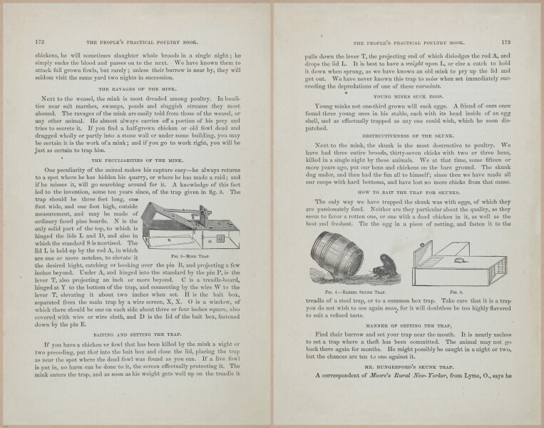 E400 - Practical Poultry Book - 1871 - 17158-17159