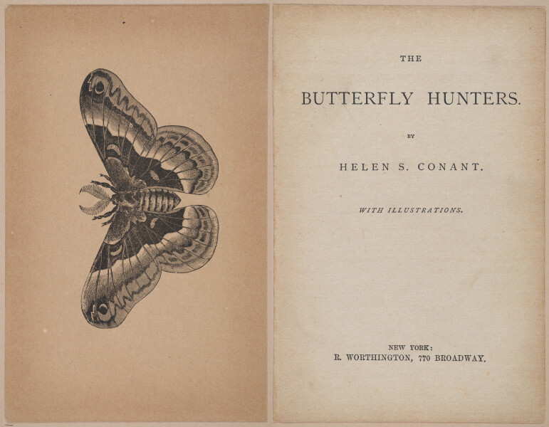 E402 - The Butterfly Hunters - i18742-18743