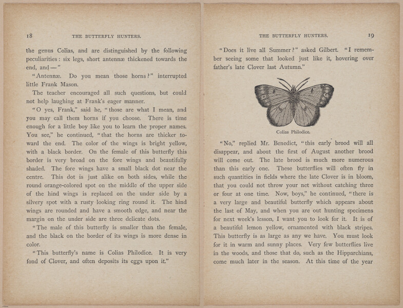 E402 - The Butterfly Hunters - i18767-18768