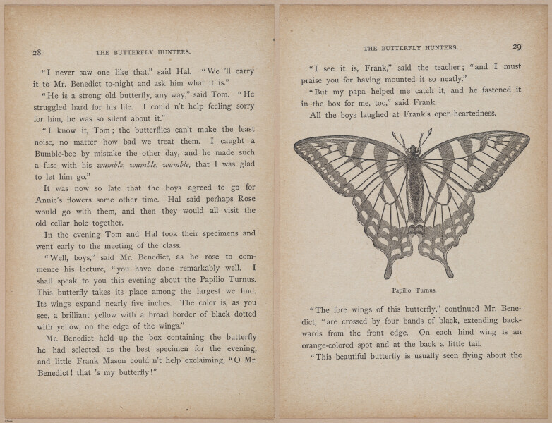 E402 - The Butterfly Hunters - i18777-18778