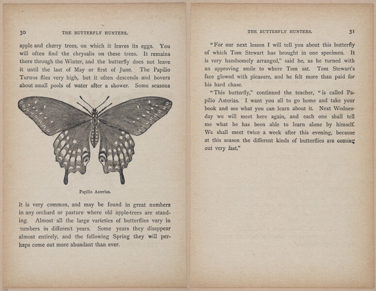 E402 - The Butterfly Hunters - i18779-18780