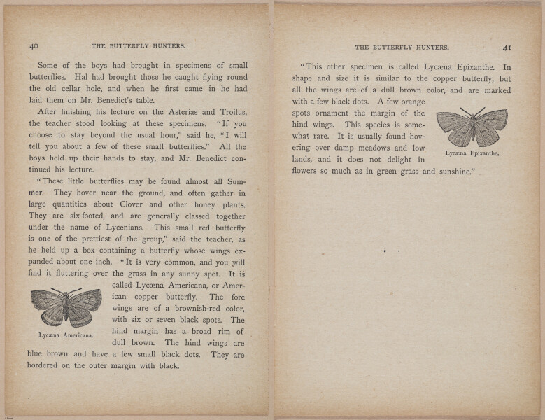 E402 - The Butterfly Hunters - i18789-18790