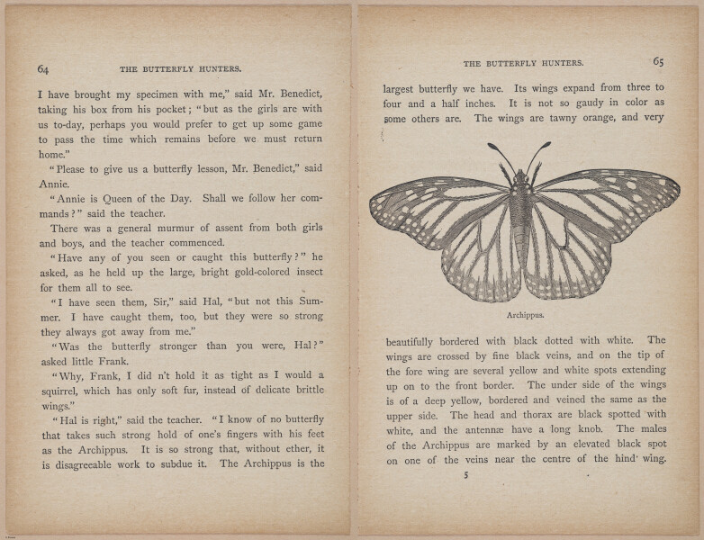 E402 - The Butterfly Hunters - i18813-18814
