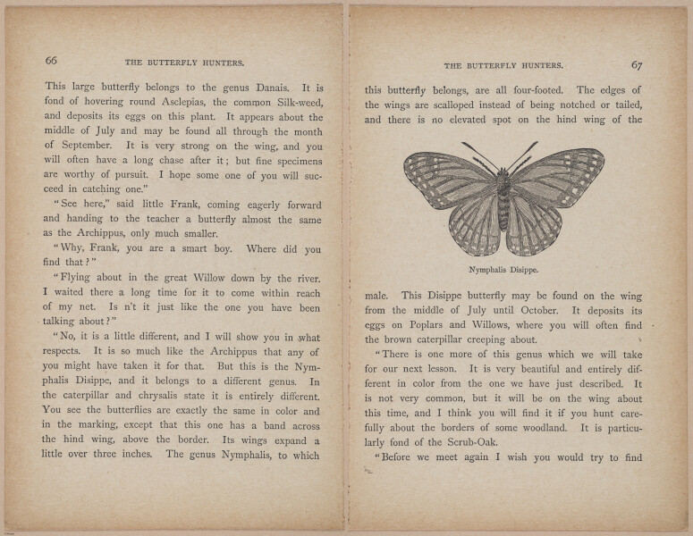 E402 - The Butterfly Hunters - i18815-18816