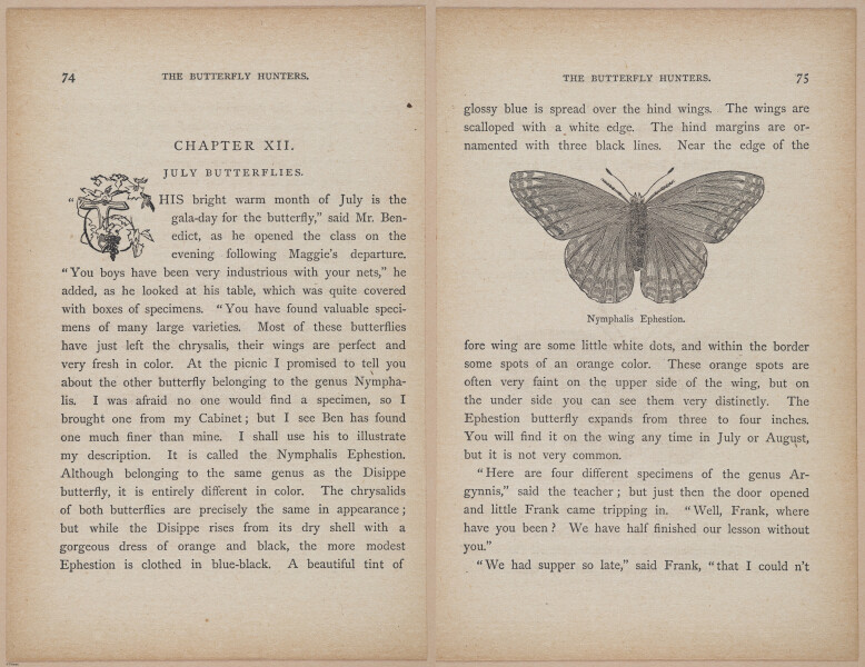 E402 - The Butterfly Hunters - i18823-18824