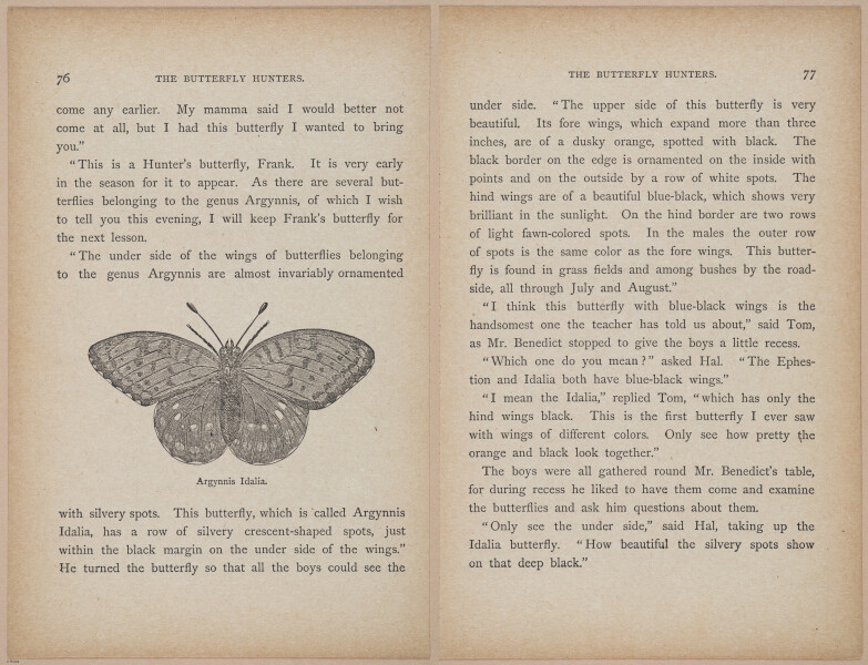 E402 - The Butterfly Hunters - i18825-18826