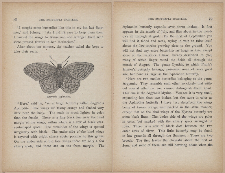 E402 - The Butterfly Hunters - i18827-18828