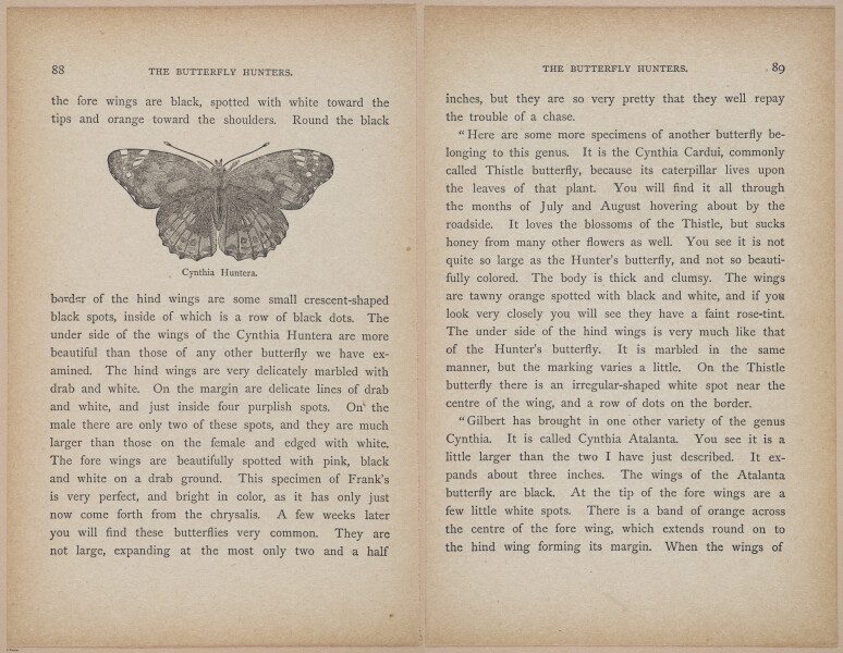 E402 - The Butterfly Hunters - i18837-18838