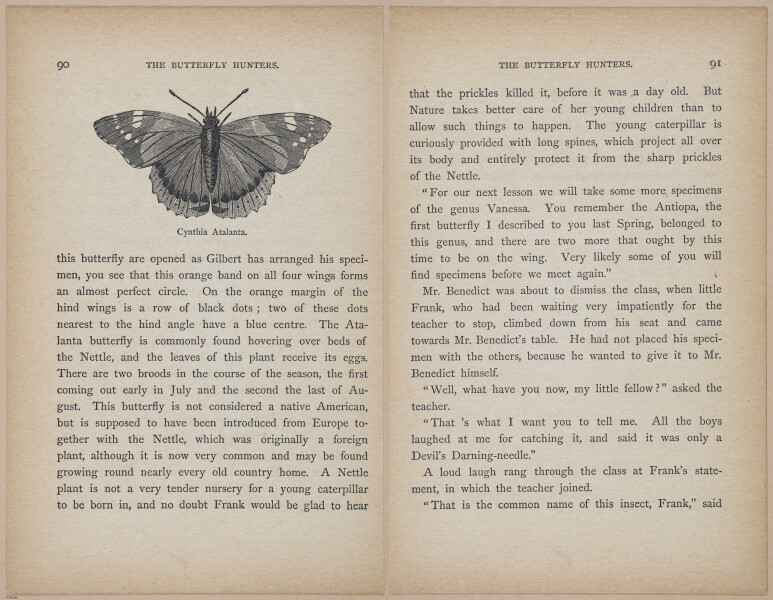 E402 - The Butterfly Hunters - i18839-18840