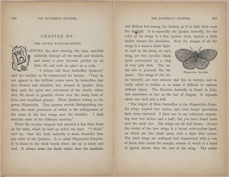 E402 - The Butterfly Hunters - i18849-18850